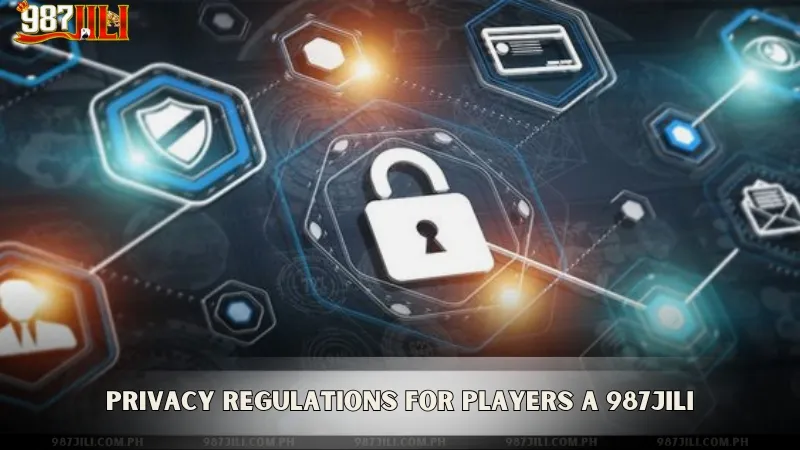 987Jili Privacy Policy